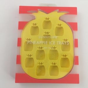 Pineapple Ice Trays | Sunnylife